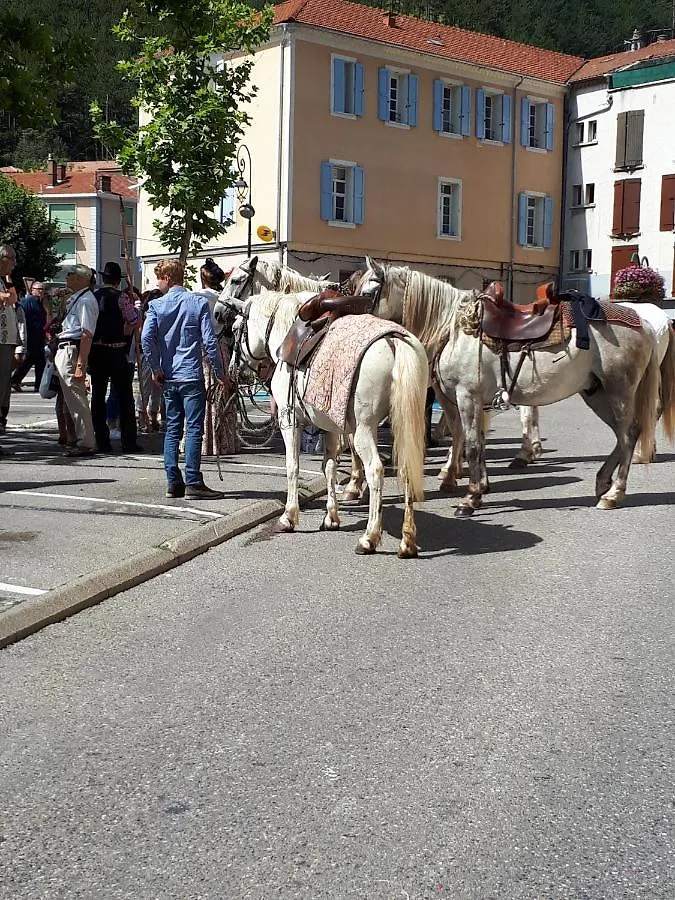 Les Mirabelles Chambres D'Hotes Sisteron Bed & Breakfast